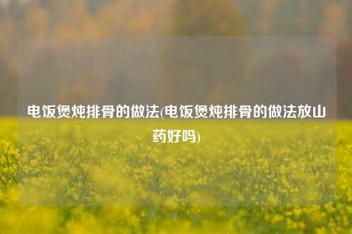 电饭煲炖排骨的做法(电饭煲炖排骨的做法放山药好吗)