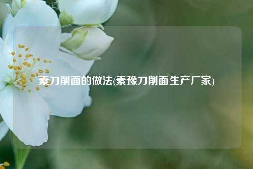 素刀削面的做法(素豫刀削面生产厂家)