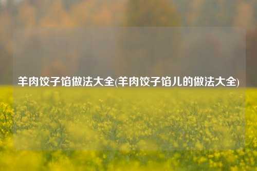 羊肉饺子馅做法大全(羊肉饺子馅儿的做法大全)