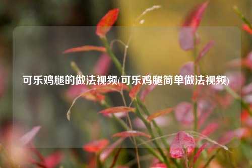 可乐鸡腿的做法视频(可乐鸡腿简单做法视频)