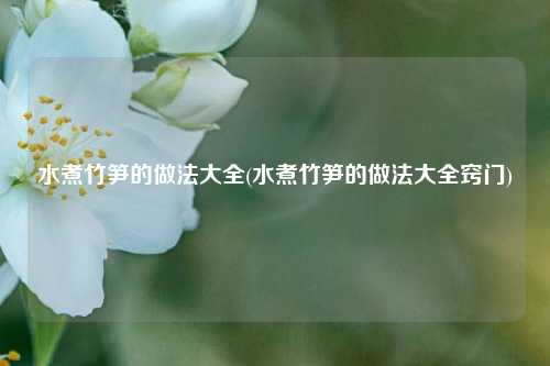 水煮竹笋的做法大全(水煮竹笋的做法大全窍门)