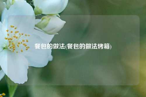 餐包的做法(餐包的做法烤箱)