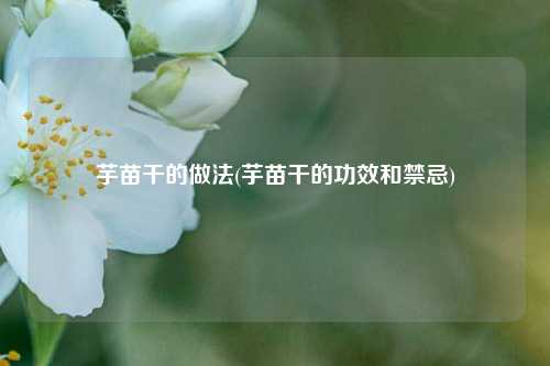 芋苗干的做法(芋苗干的功效和禁忌)