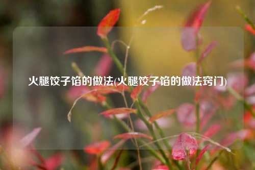 火腿饺子馅的做法(火腿饺子馅的做法窍门)
