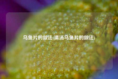 乌鱼片的做法(清汤乌鱼片的做法)