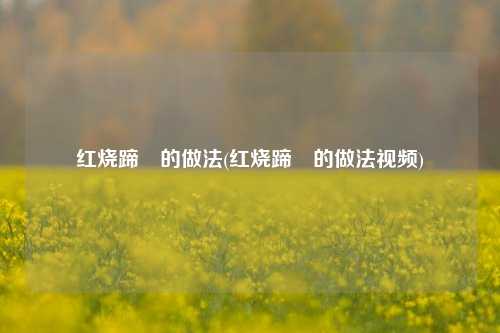 红烧蹄髈的做法(红烧蹄髈的做法视频)