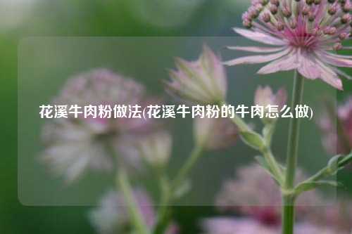 花溪牛肉粉做法(花溪牛肉粉的牛肉怎么做)